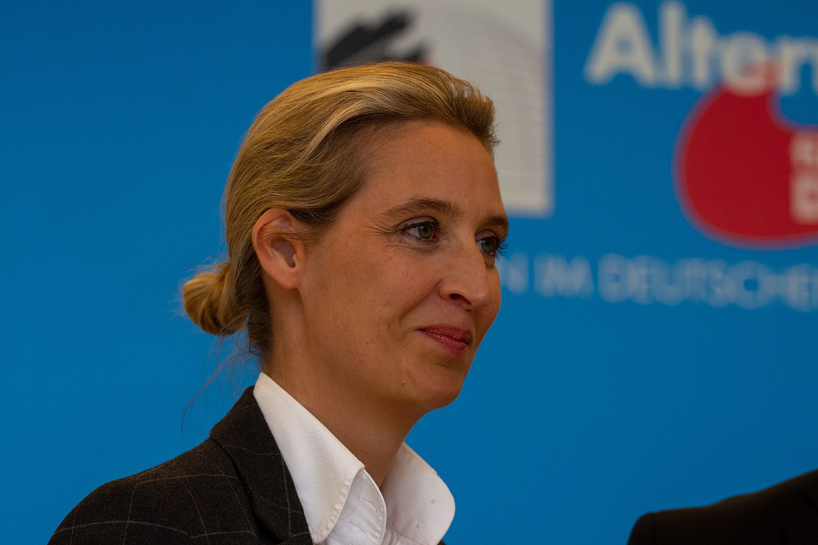 AFD:s segertåg – utmanar de etablerade partierna