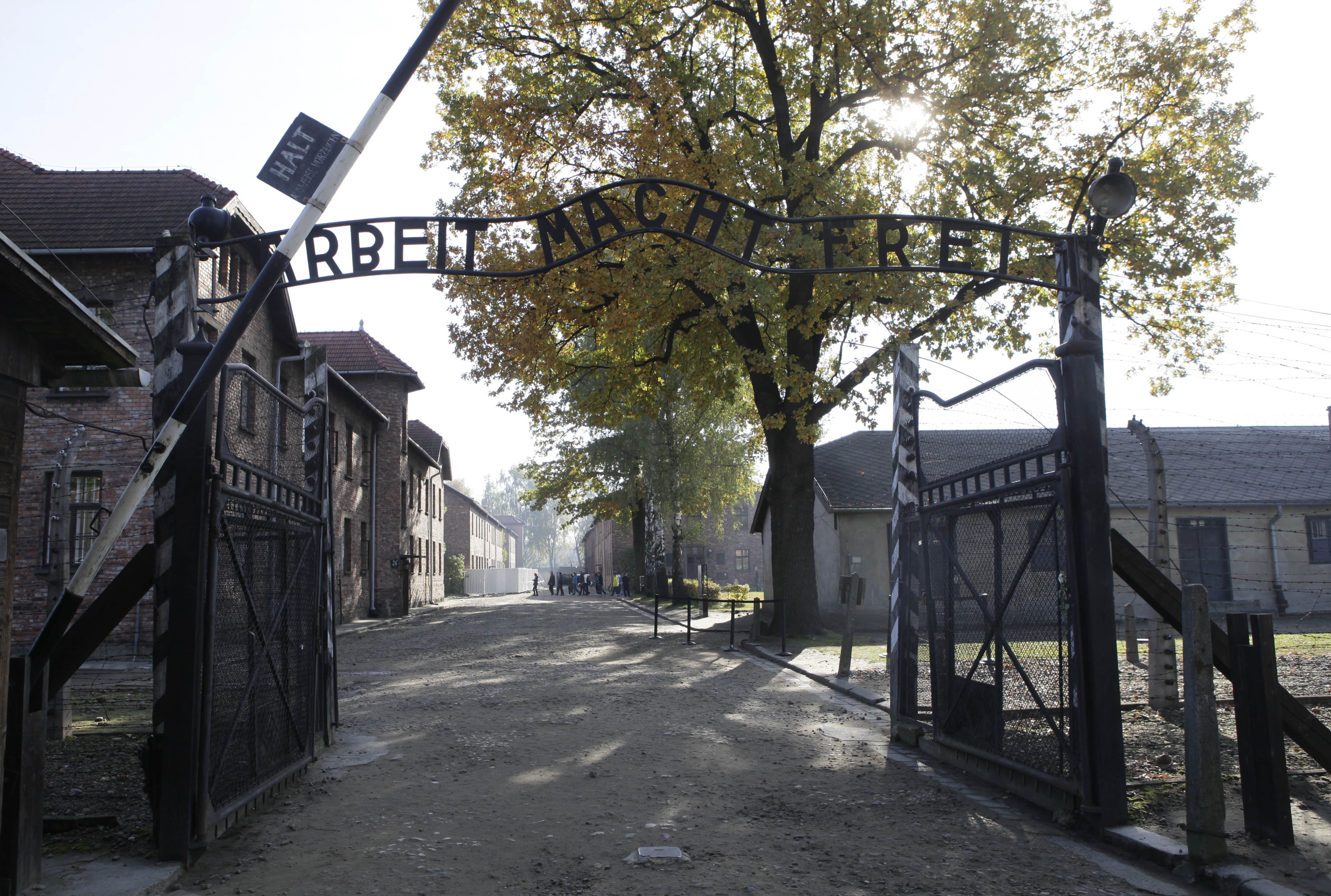 Yvonne skulle gasas ihjäl i Auschwitz som 15-årig: Så inträffade miraklet alla borde höra om