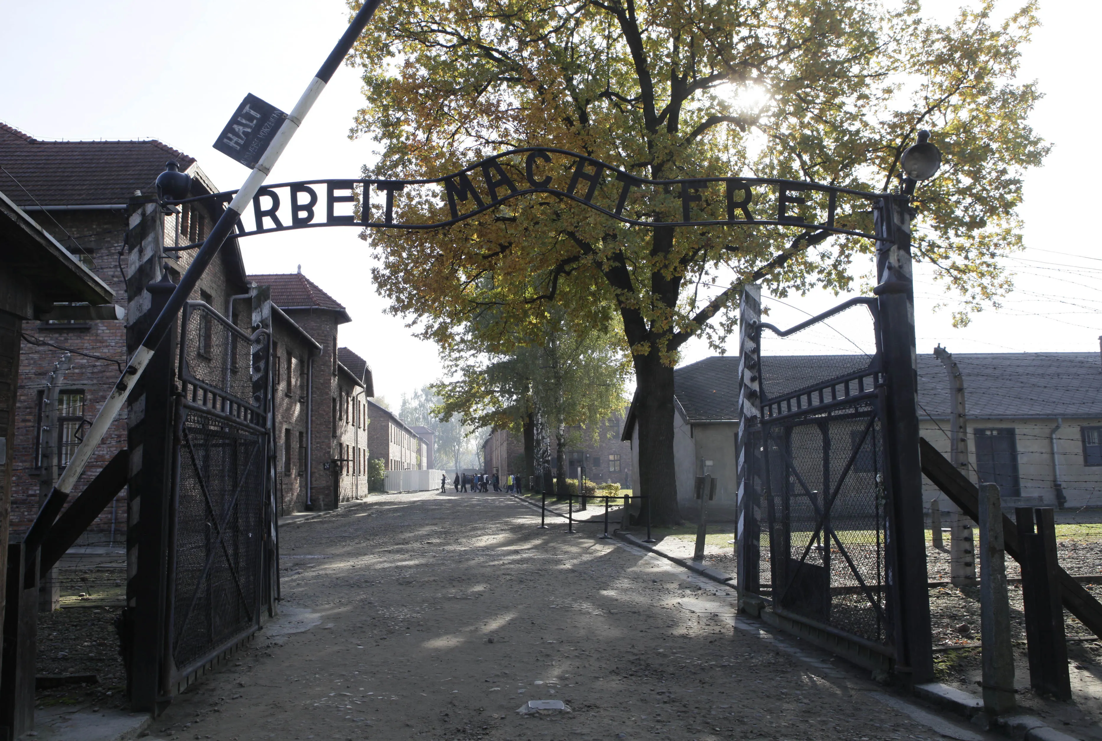 Yvonne skulle gasas ihjäl i Auschwitz som 15-årig: Så inträffade miraklet alla borde höra om