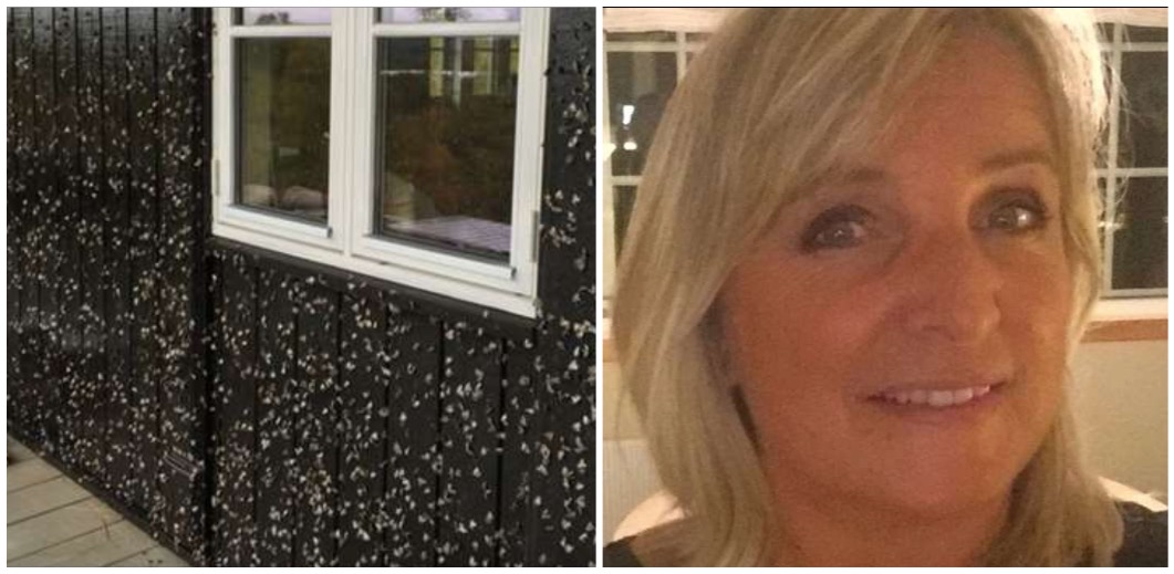 Heidi målade sitt hus: Fick en chock när hon gick ut dagen efter