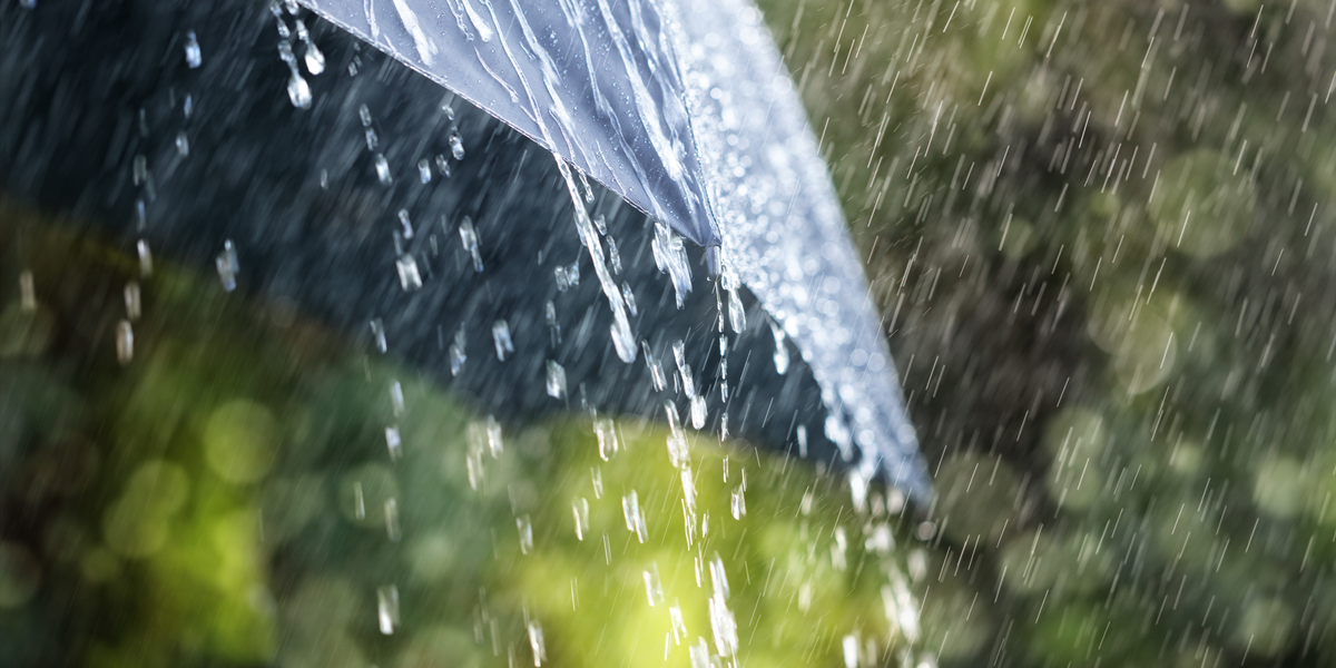 SMHI: Regn och blåst överväger – Ostadigt väder väntar under kommande vecka