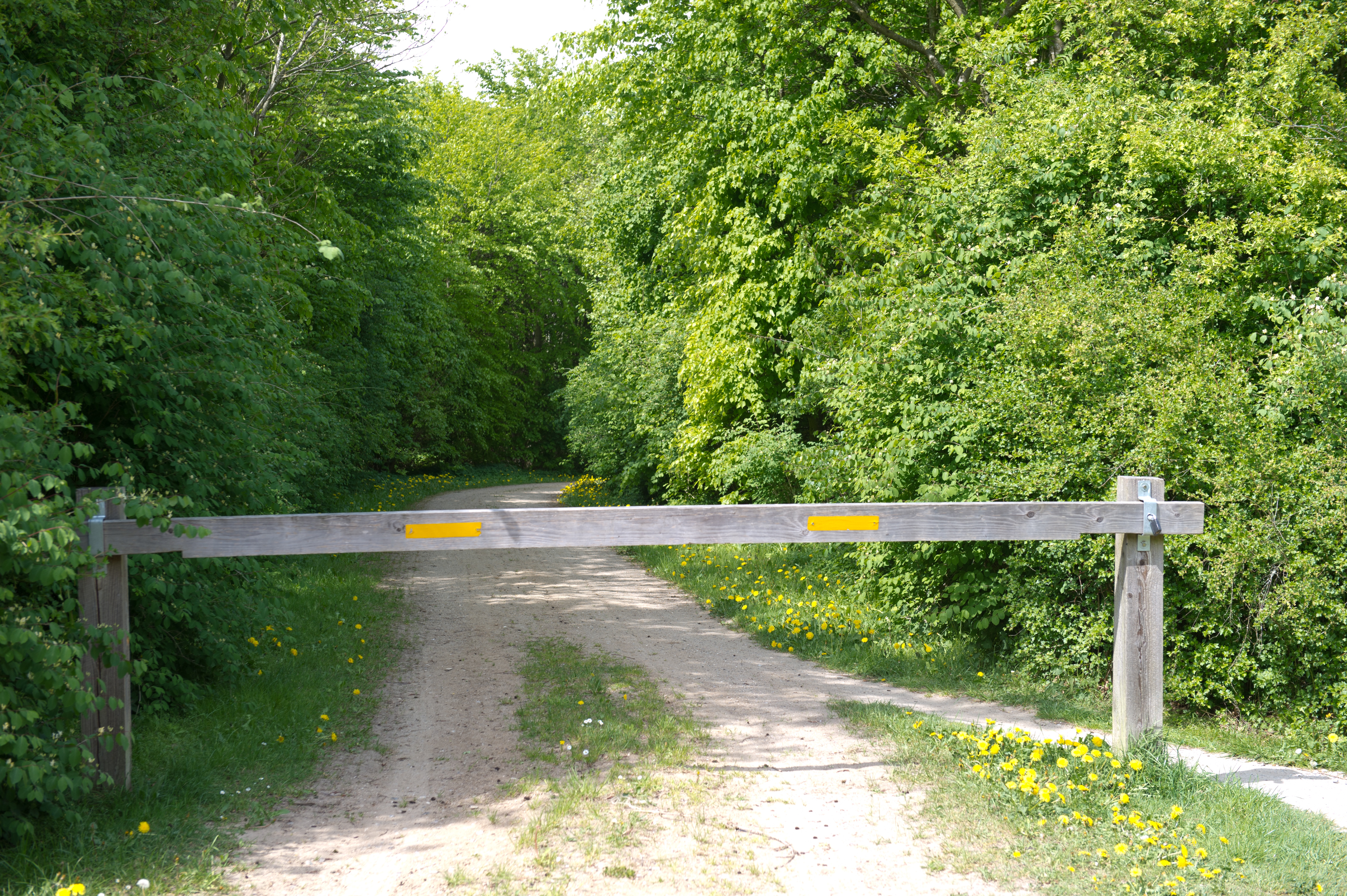 Ytterligare en ung kvinna skuren i ansiktet av okända gärningsmän: 15-åring överfallen i skogen