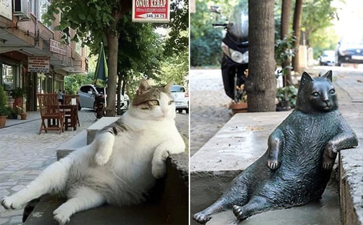 Stadens älskade katt hedrad med staty på dens favoritplats