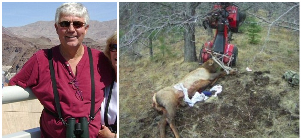 Hämnd efter döden: 69-åring spetsad av älg han precis skjutit