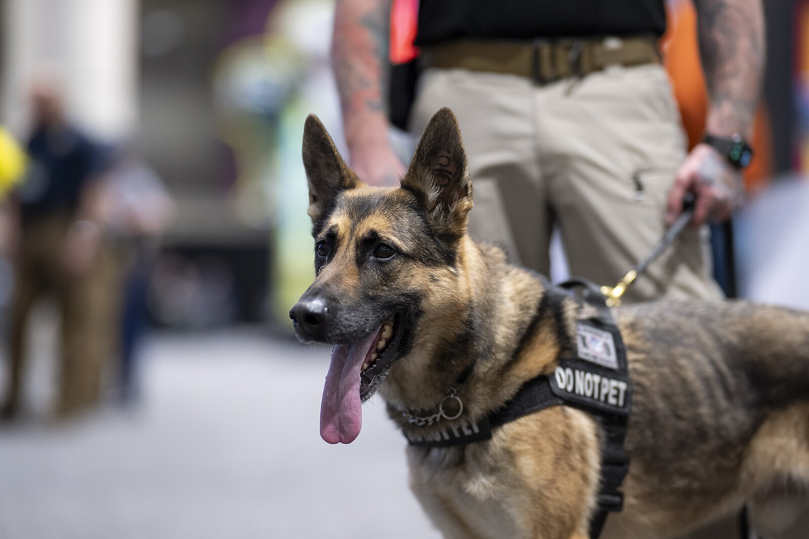 Politisk protest mitt i Super Bowl – dansare portas för alltid