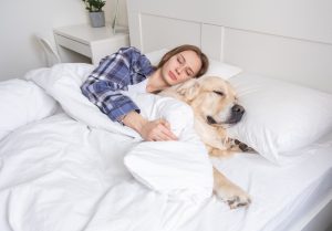 Här är 14 lugna hundraser – perfekta för dig som vill mysa och ta det lugnt hemma!