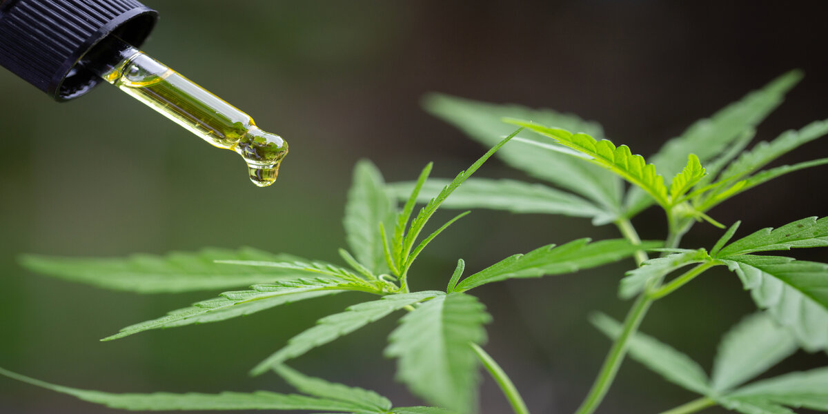 CBD-olja – Varför?