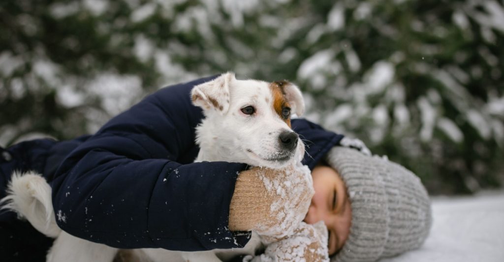 Bara några droppar kan vara dödligt: Dessa symtom kan tyda på att din hund har fått i sig kylarvätska