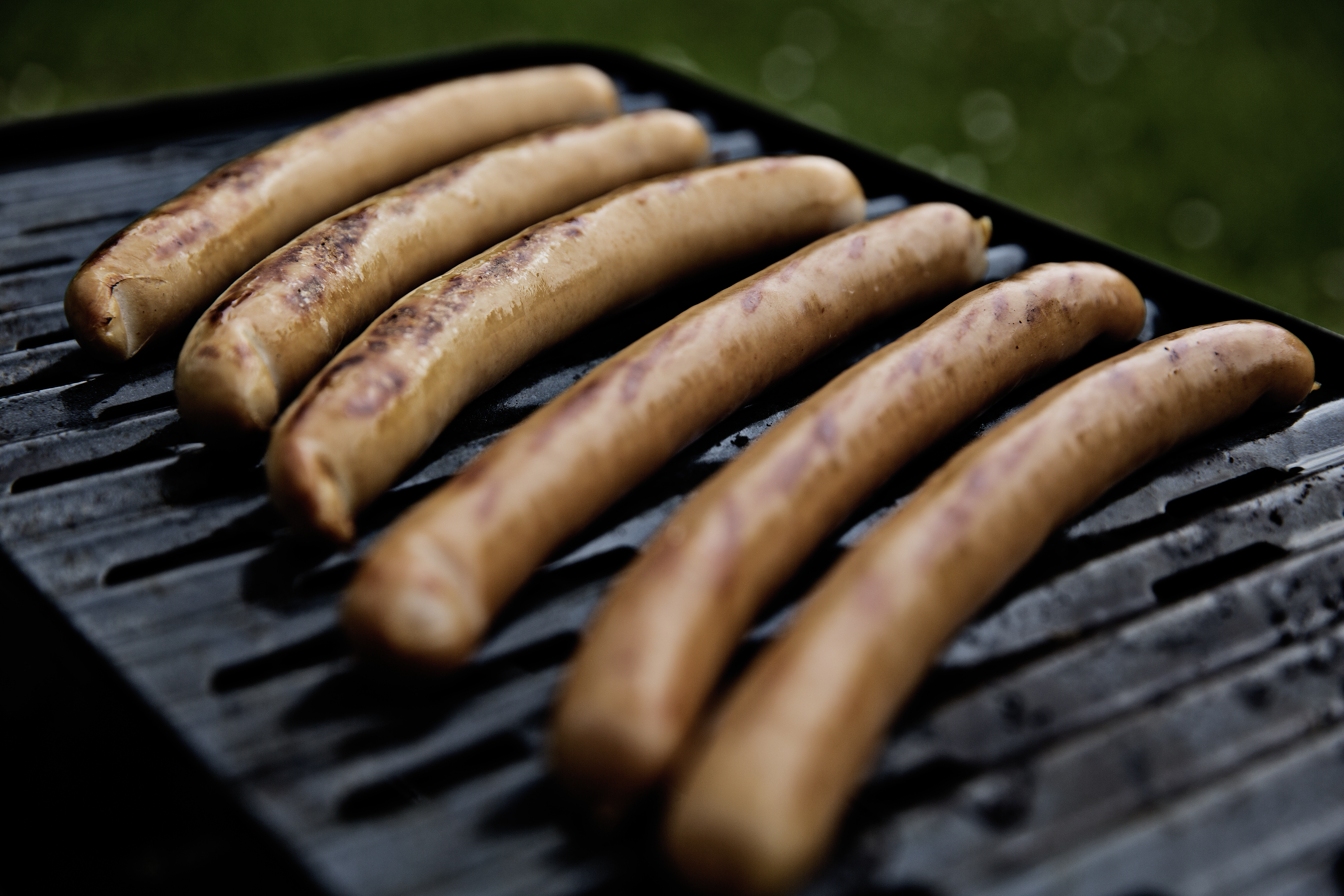 Lapplands Viltprodukter i blåsväder: Använde sexårigt björnkött i korvproduktion