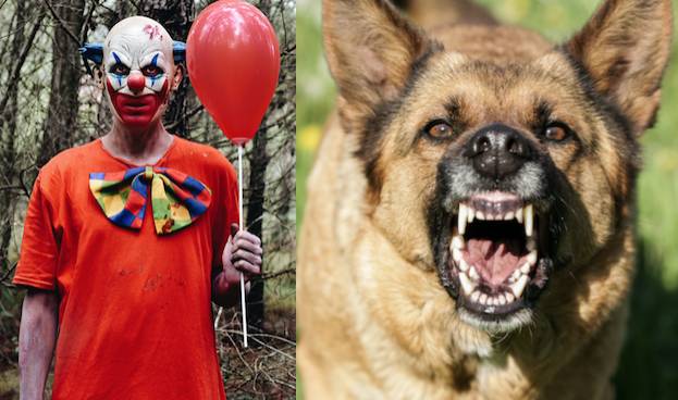 Clown jagar skräckslagen kvinna – då går hennes hund till attack