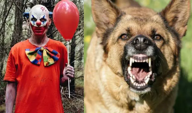 Clown jagar skräckslagen kvinna – då går hennes hund till attack