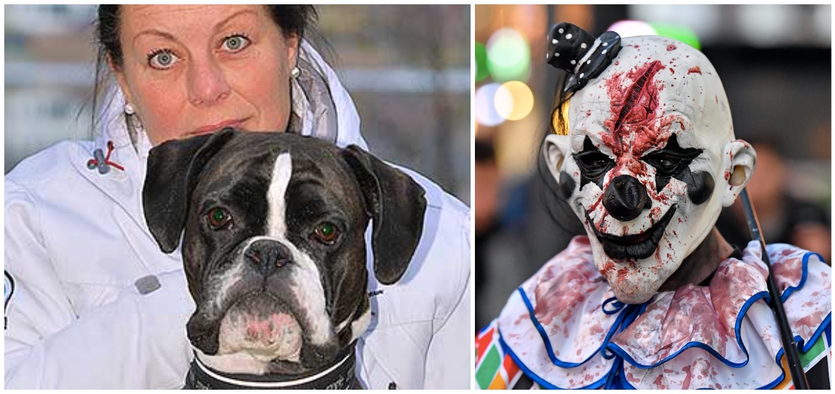 Hunden Ollie räddade mamma från hemsk clown – får priset som årets hjälte