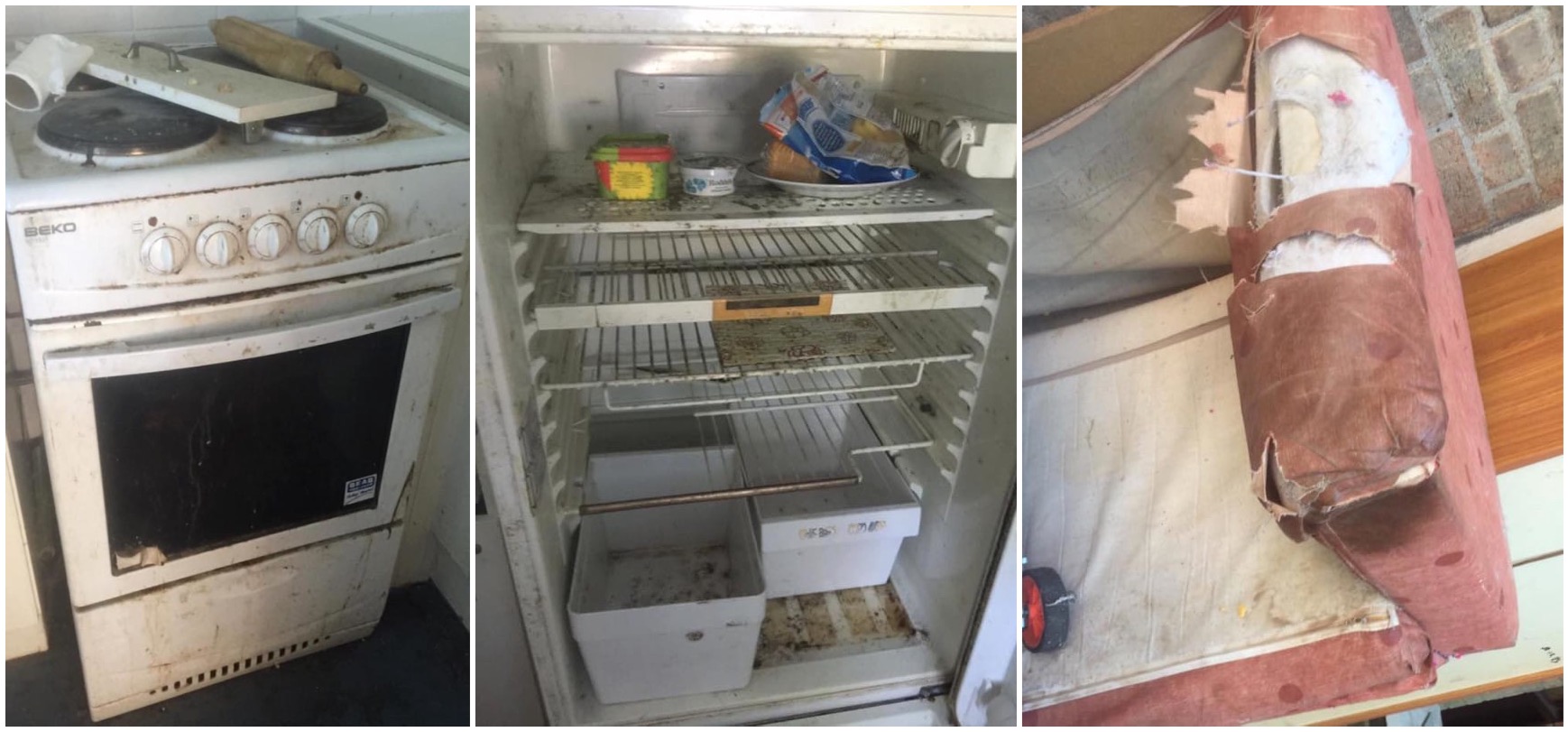 Kvinna svårt chockad när hon kommer in till äldre granne: ”Hon hade inte duschat på 13 år”