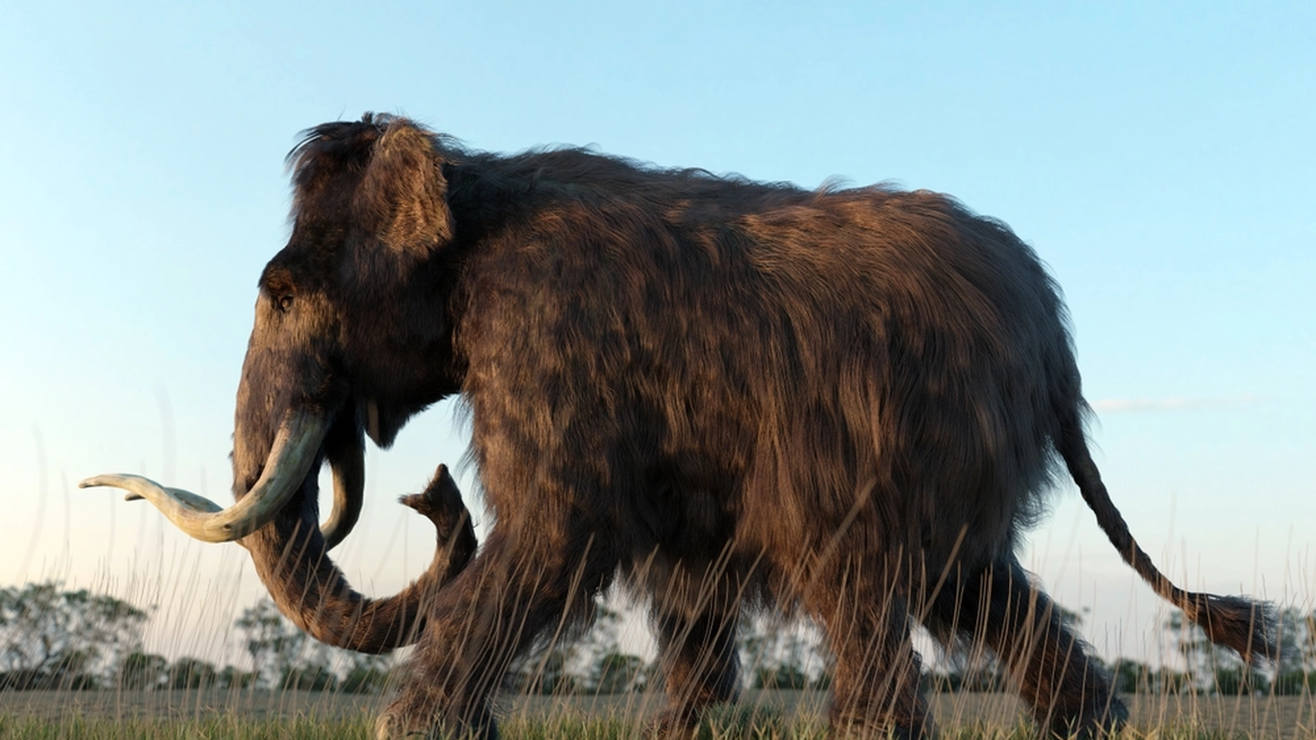 Arkeologer har hittat en 13 600 år gammal Mastodontskalle i Iowa
