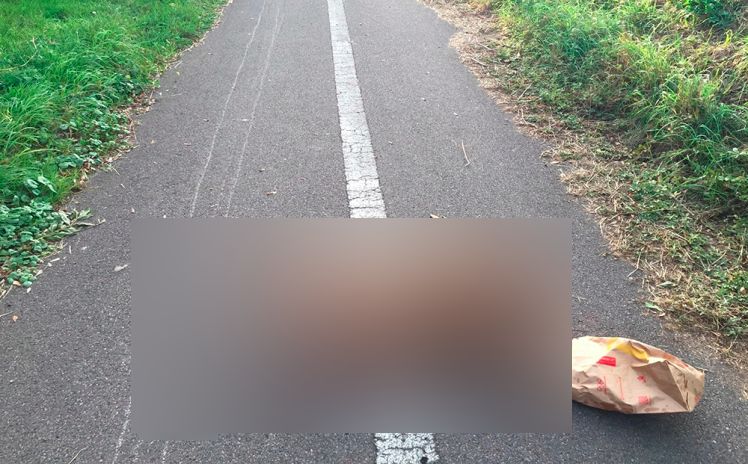 Man gör en blodig upptäckt på sin promenad:  ’Jag har inte visat bilderna för någon – inte en min fru’