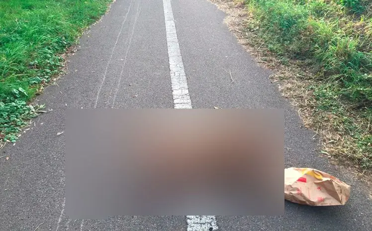 Man gör en blodig upptäckt på sin promenad:  ’Jag har inte visat bilderna för någon – inte en min fru’