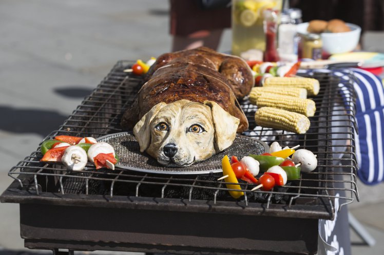Förbipasserande i chock: Kock grillade hund mitt på gatan