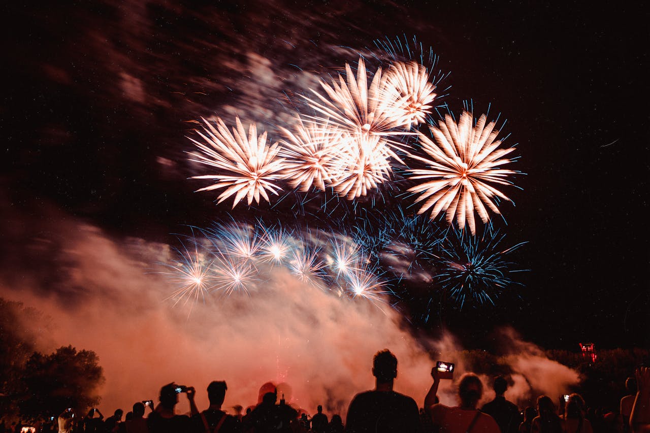 Gott Nytt År 2025 önskar vi våra läsare!