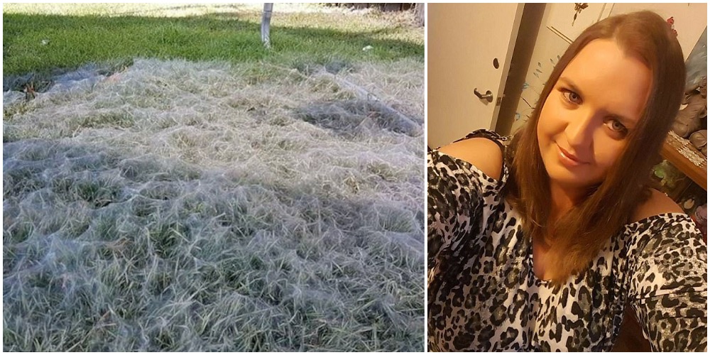 Familjen gjorde en otäck upptäckt på bakgården: ’Som att vakna upp i en mardröm’