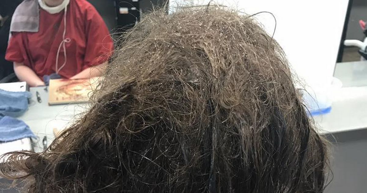 Frisör vägrar att raka av en deprimerad tonårsflickas trassliga hår inför skolkort