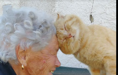 Katten försvann för fyra år sedan, men då gjorde mormodern en glädjefull upptäckt