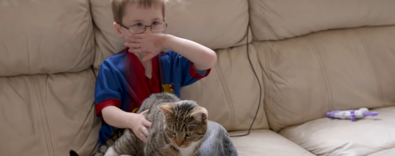 Pojken knuffades, men se då vad katten gör