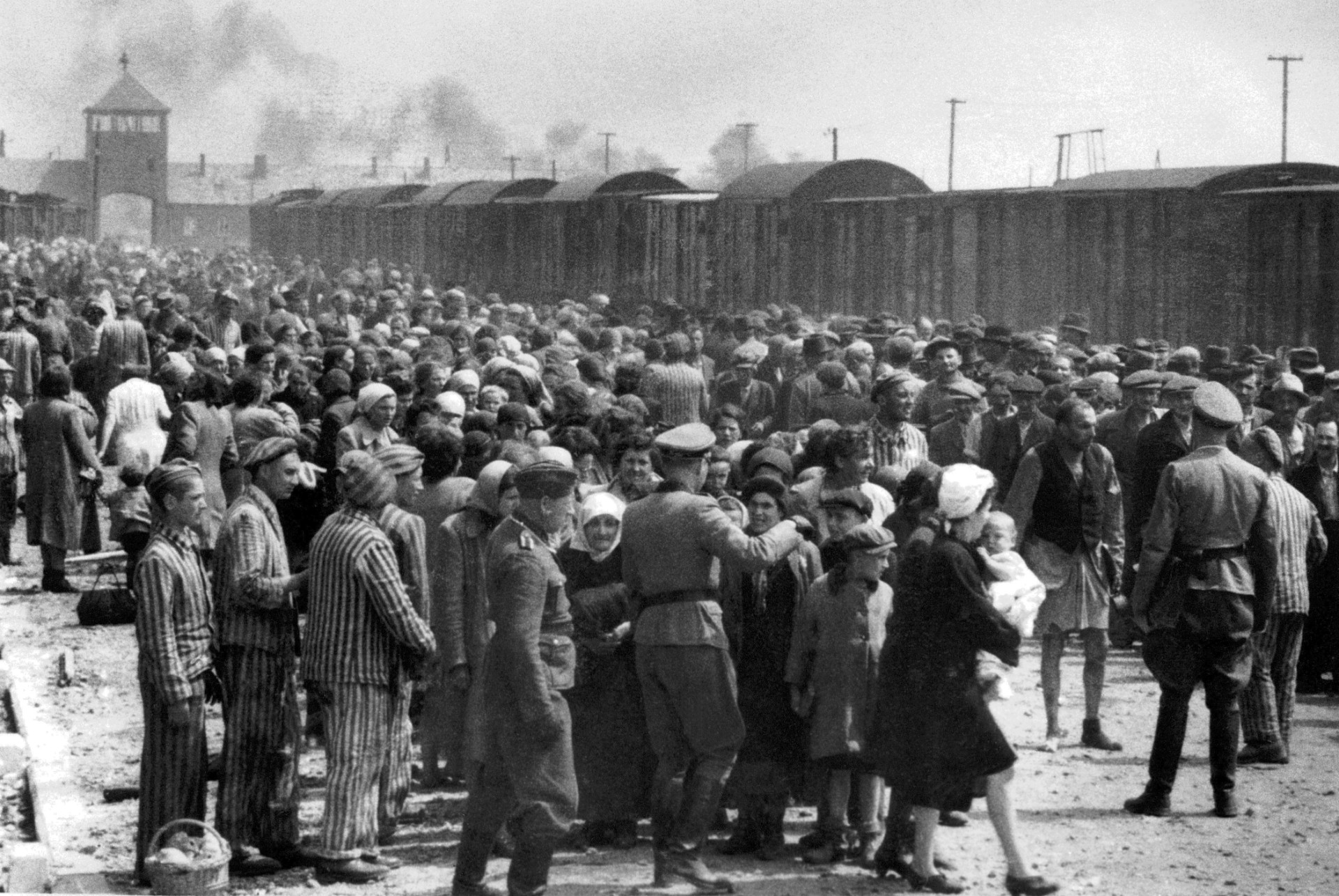 Minnet av Auschwitz bleknar – vi får aldrig glömma!