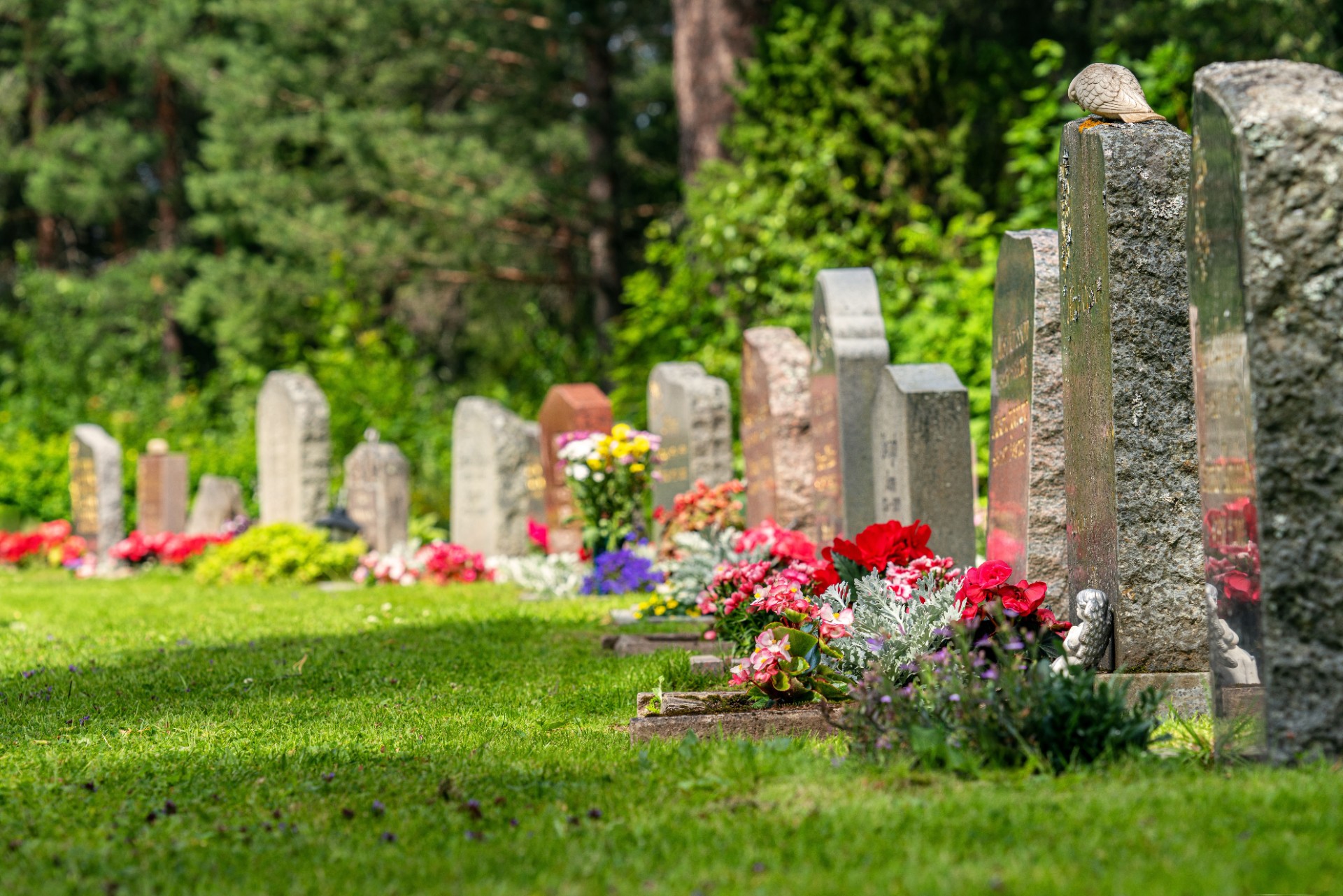 Vill bygga lekplats på kyrkogården: Ska underlätta för föräldrar
