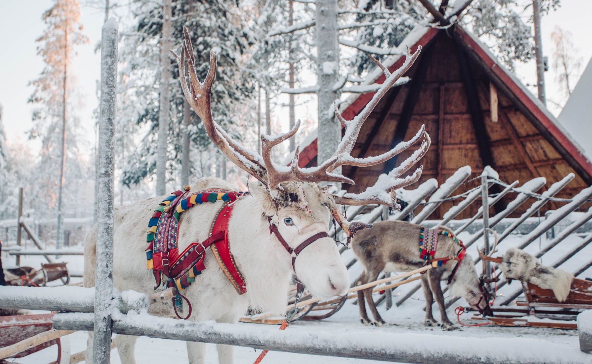 Rovaniemi i Lappland slår besöksrekord tack vare jultomten