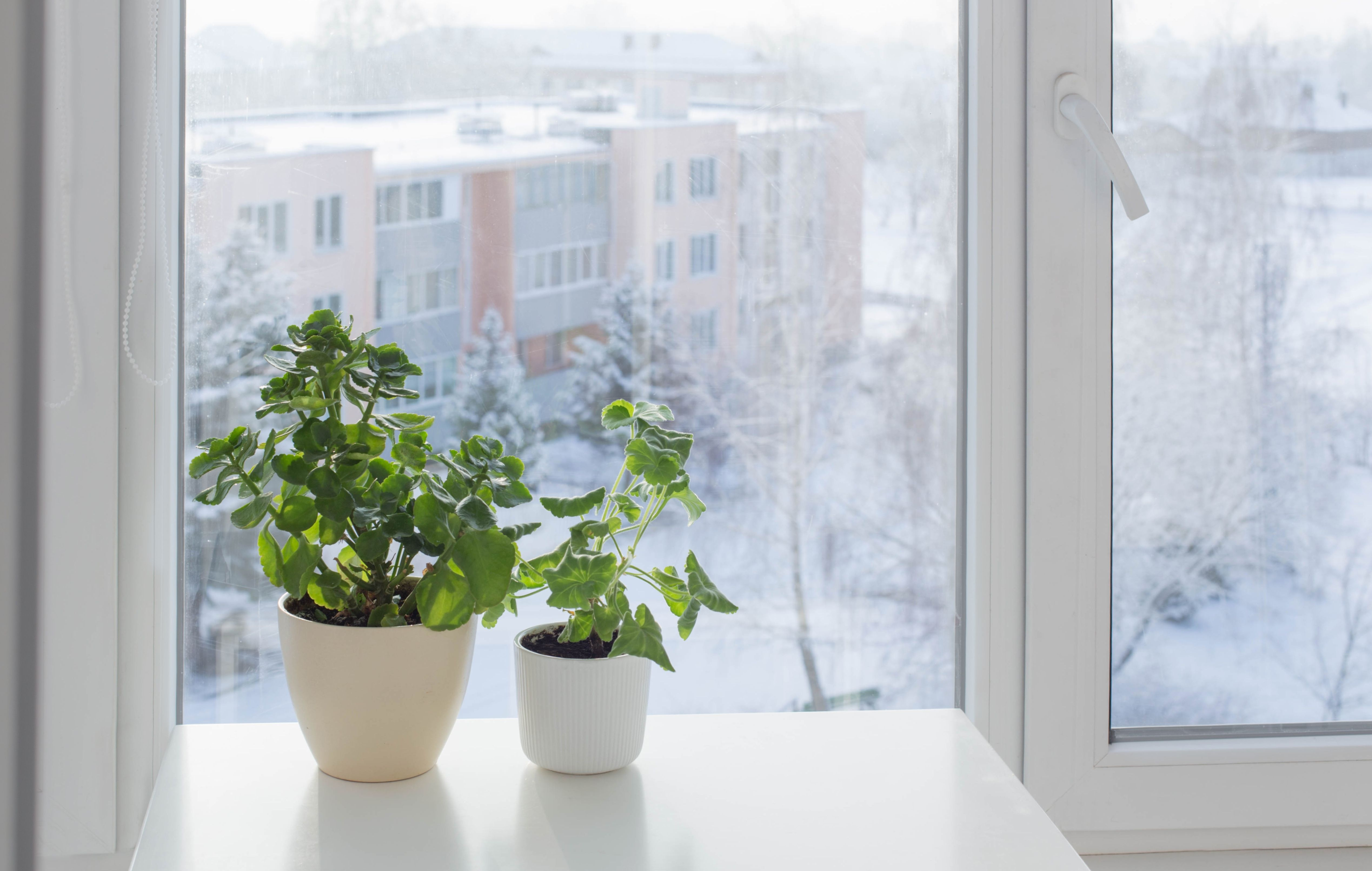 Så vädrar du ditt hus på vintern för god hälsa (utan betydande värmeförlust)