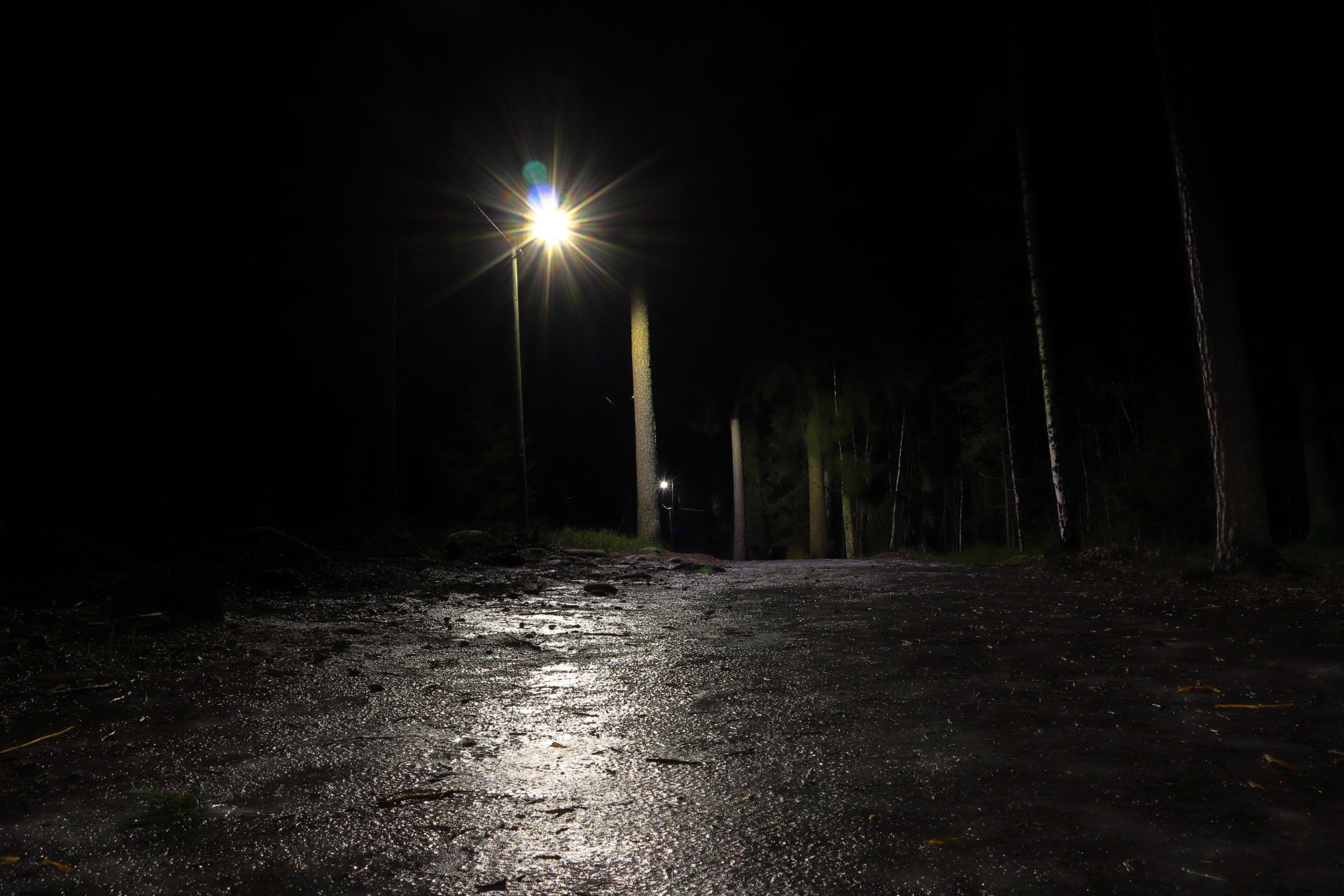 Luleåborna tar till nya medel: Detta ska bekämpa vinterensamhet