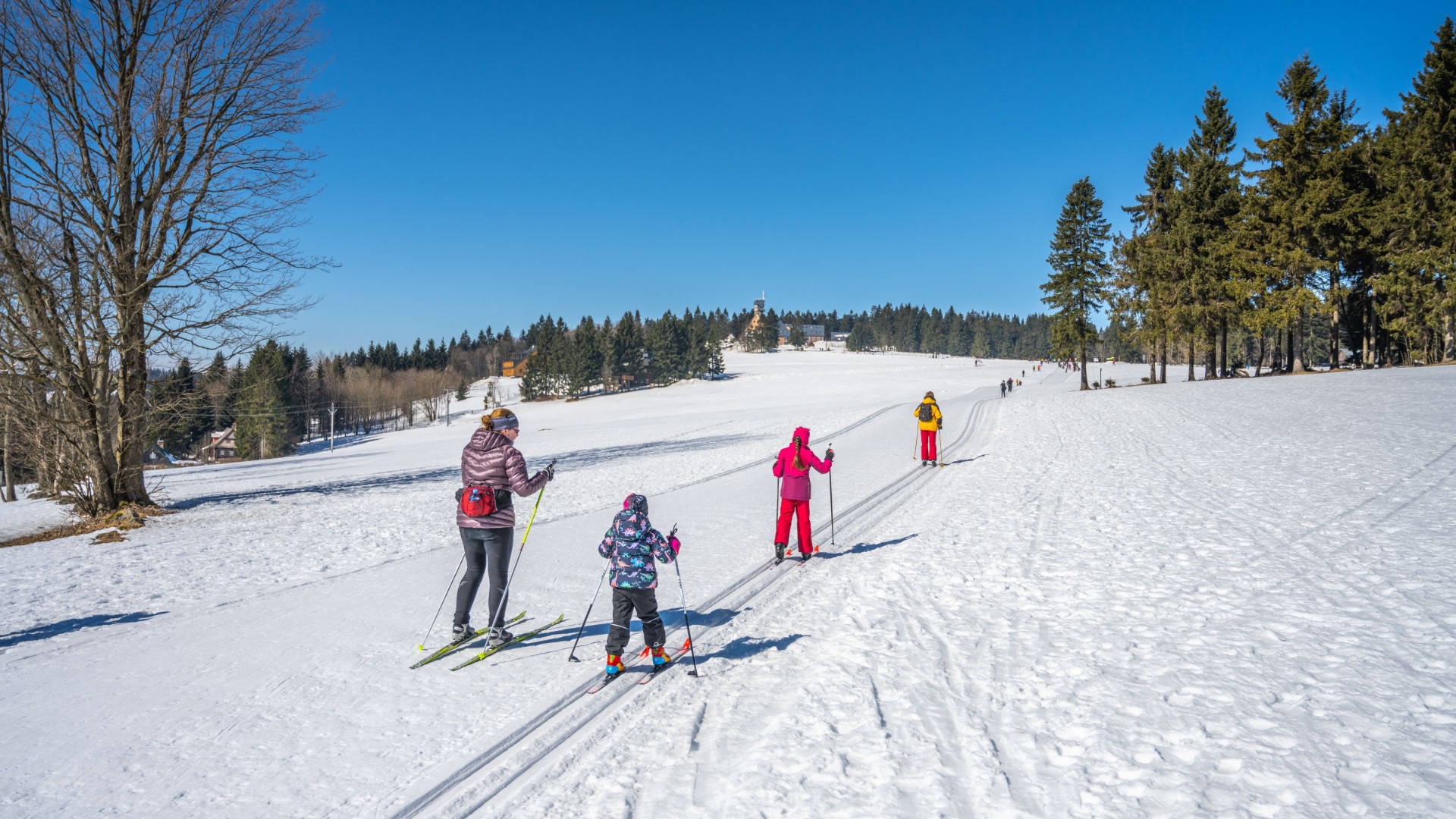 Längdskidåkning i Stockholm: Här hittar du spår och snööppningar denna vinter