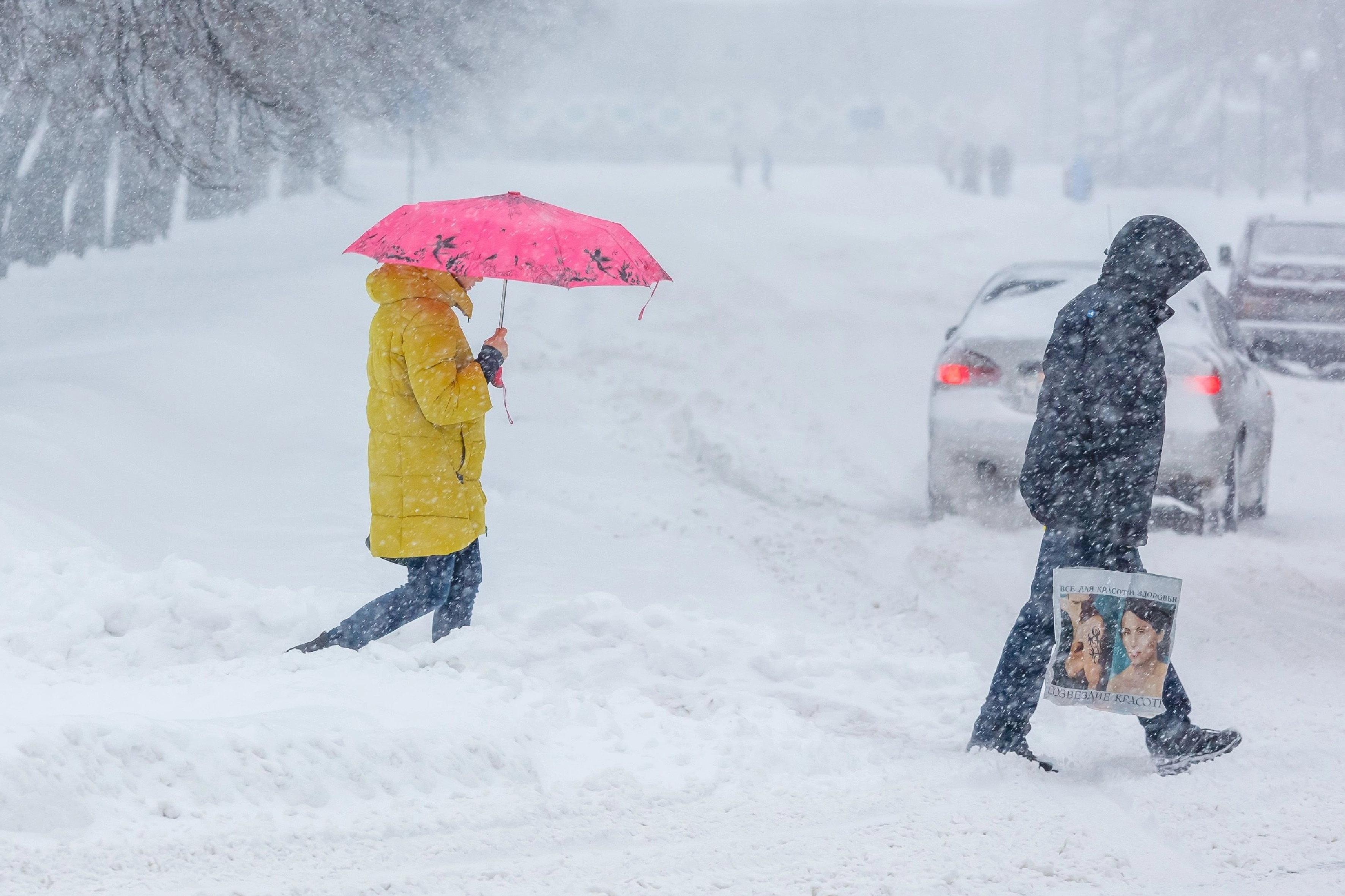 Snövarning från SMHI – upp till 20 cm snö