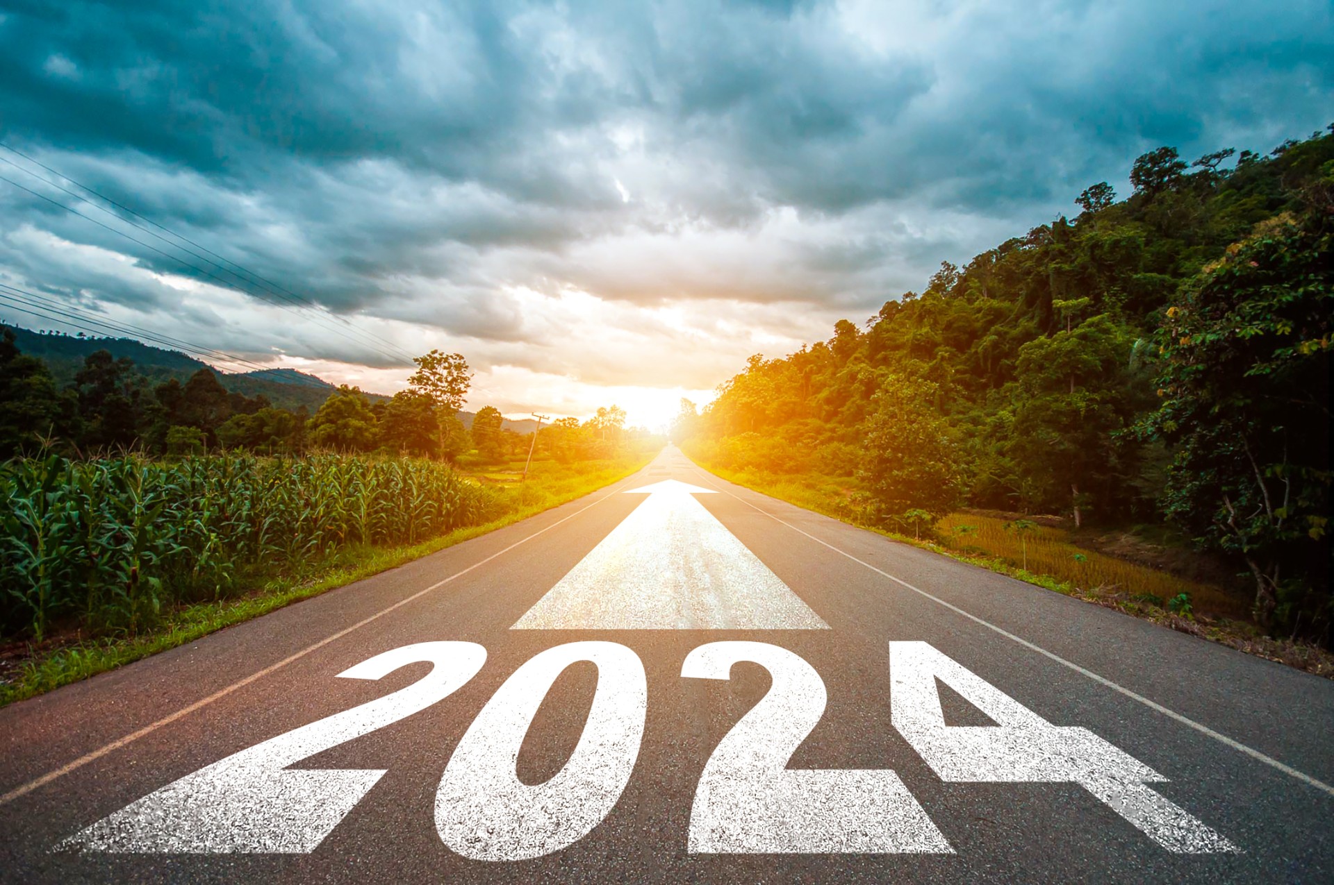 Nyordslistan 2024: Trender och ord som speglar vår samtid