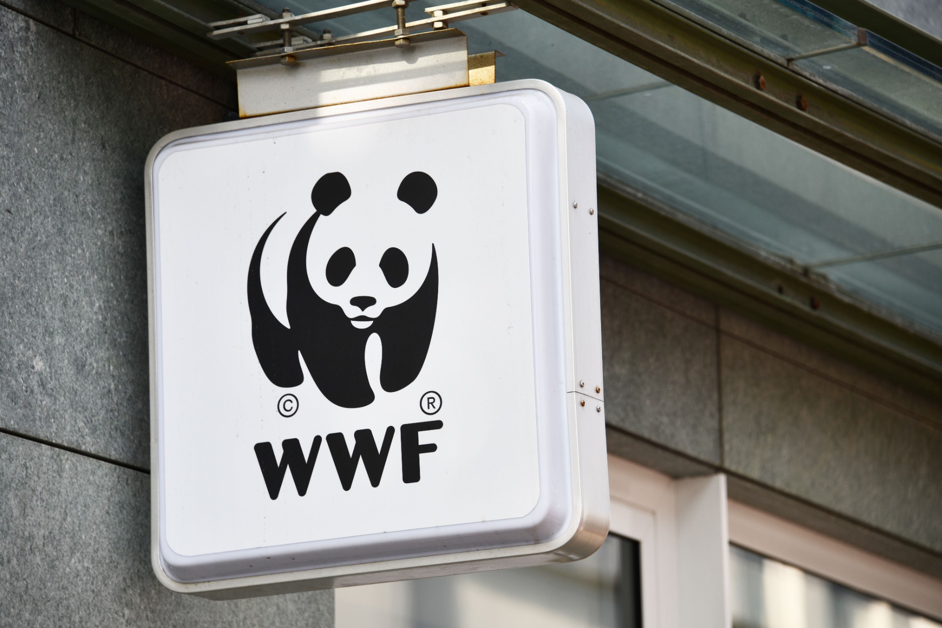 WWF sågar regeringens budget: ’Fossila bränslen prioriteras framför klimatet’