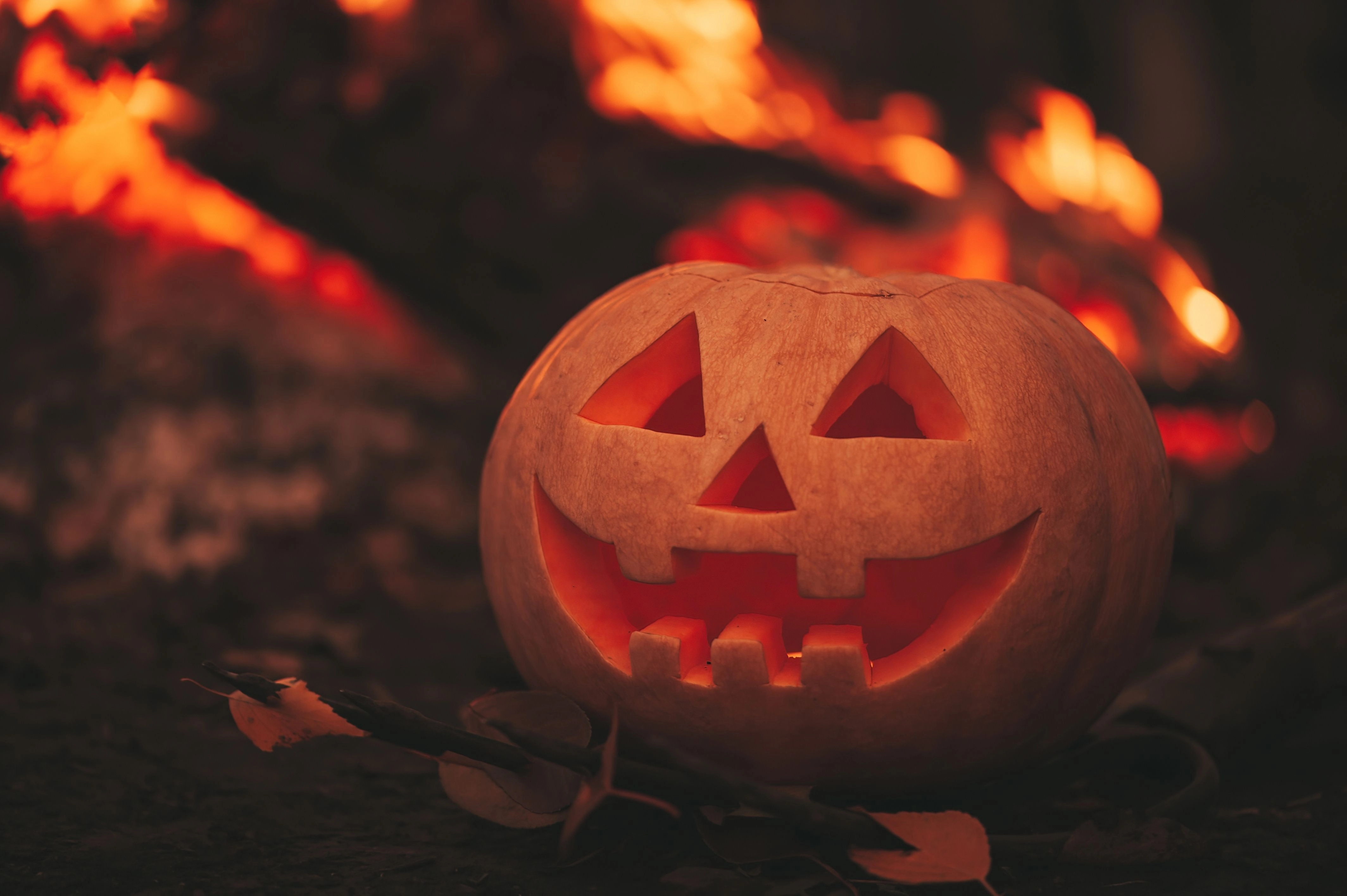 Polisens varning inför Halloween: Kan leda till fara
