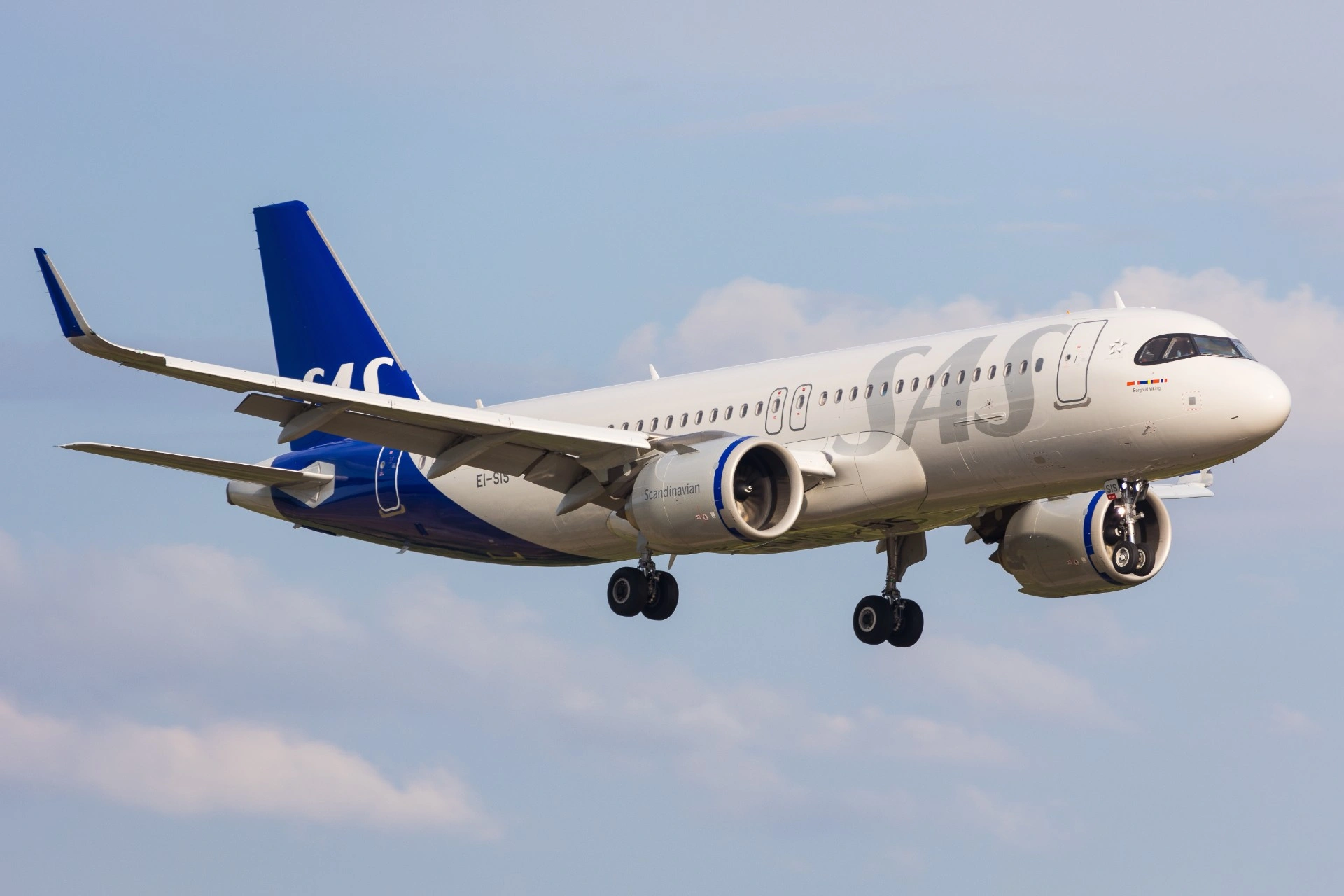 Muskaos ombord: SAS tvingas nödlanda efter oväntad gnagarincident