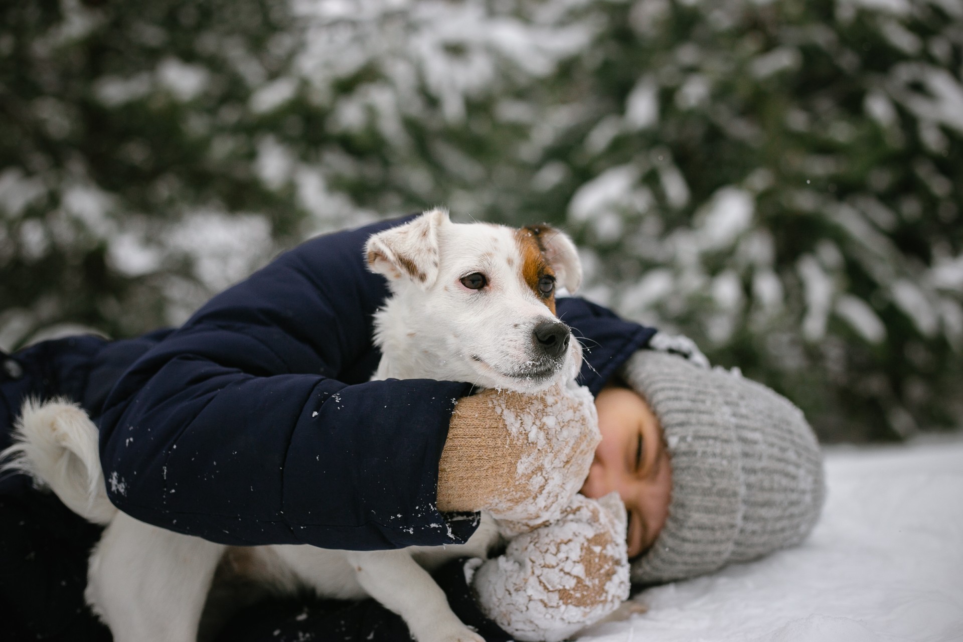 Skaffa hund? Här är allt du behöver tänka på innan du bestämmer dig