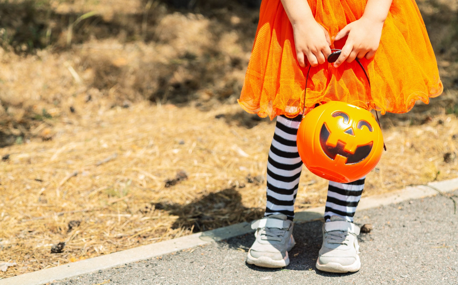Oro efter Halloween-kväll: Flicka försvunnen under bus eller godis-runda