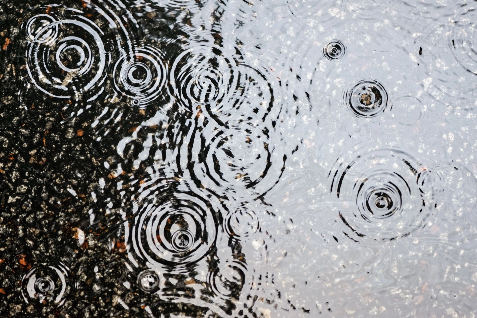Regn och kyla dominerar – men då kan solen titta fram
