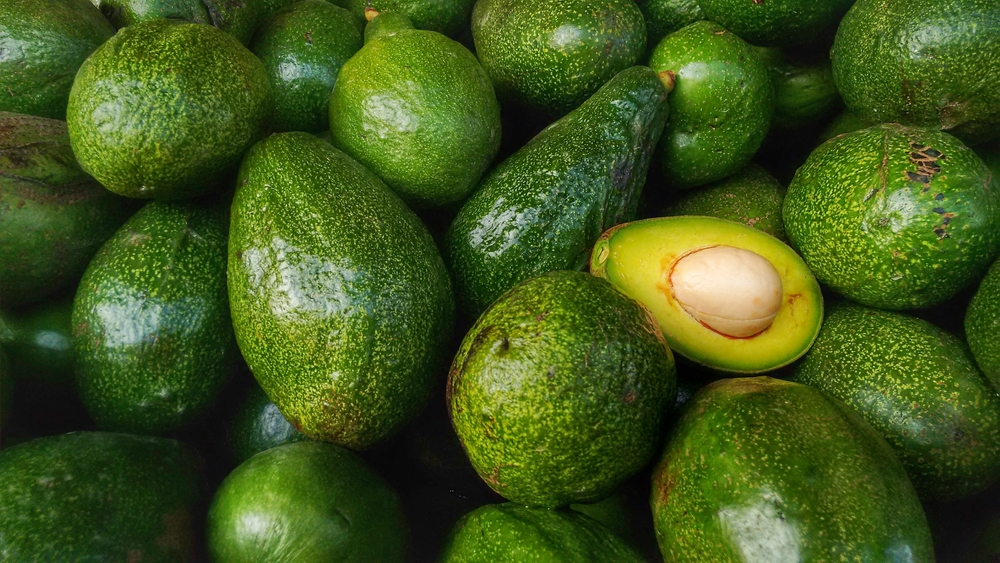 Därför ska du inte äta avokado