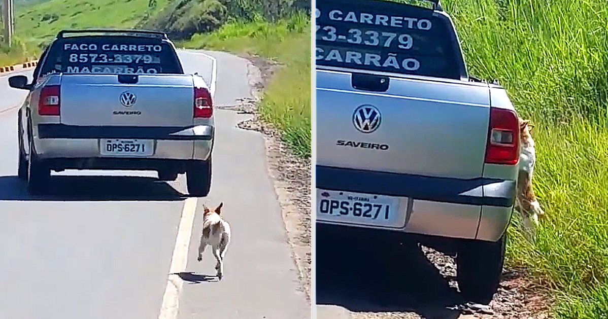 Man blir så berörd av viral video med övergiven hund att han letar upp den och räddar den
