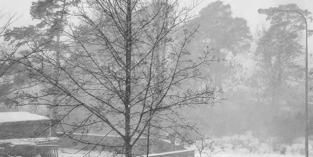 Varning: Risk för snöfall