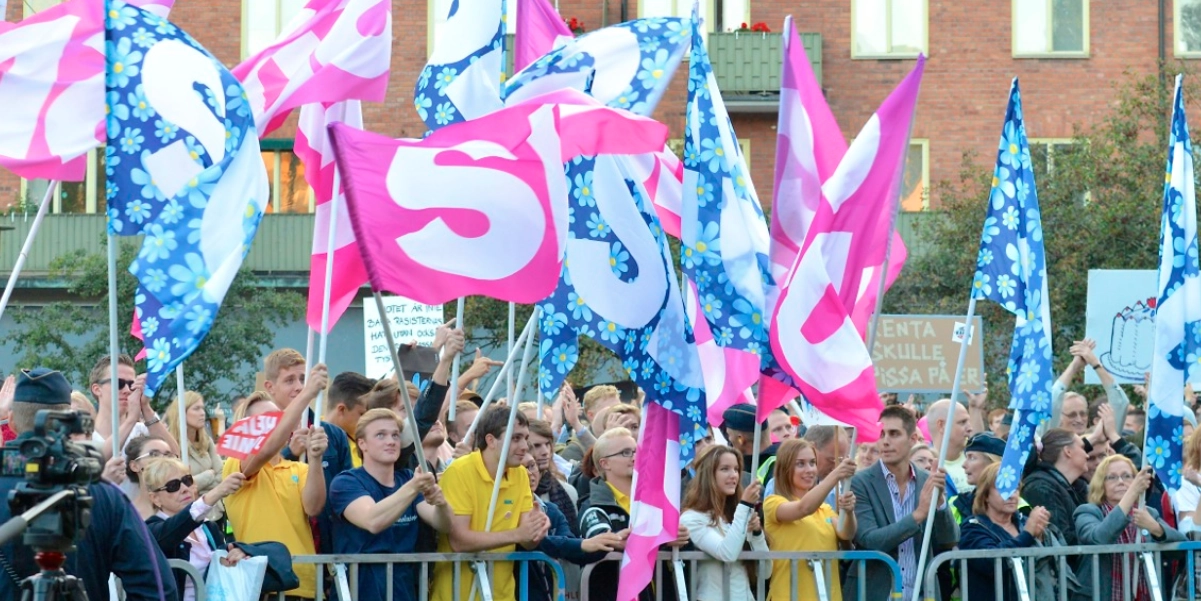 Sverigedemokraternas partitopp avstängd efter misstankar om sexchatt med barn