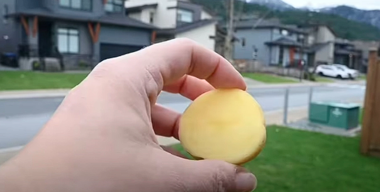 Tips till alla bilägare: Därför bör du gnugga fina fönster med potatis