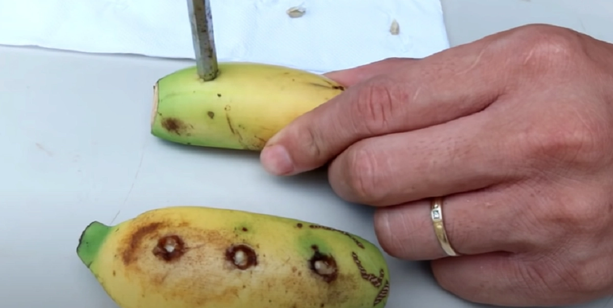 Han lägger citronfrön i sin banan: När du ser vad som händer kommer du vilja göra samma sak