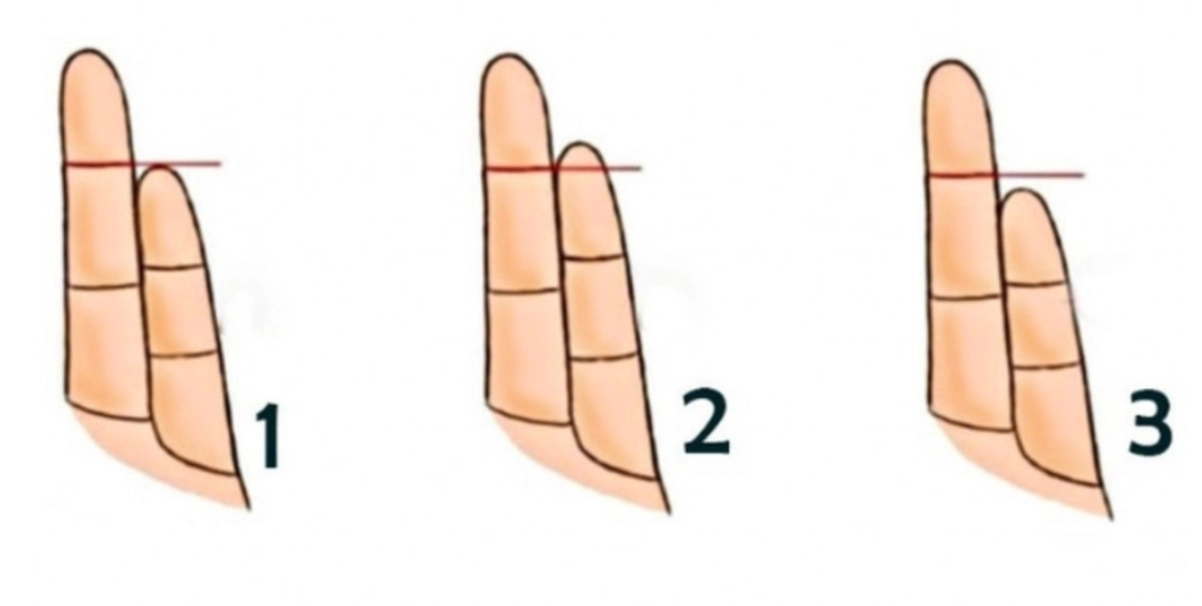 Hur stort är ditt lillfinger? Svaret kan berätta mycket om dig