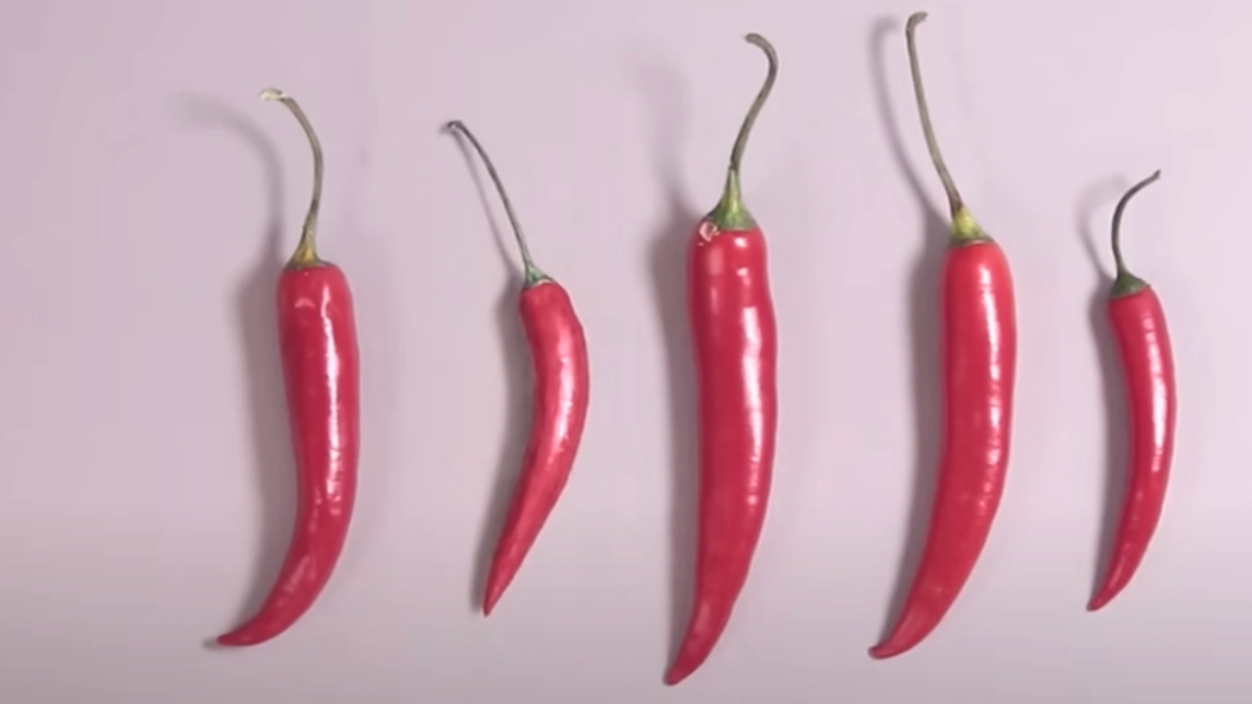 Synstest: Du har ögon som en örn om du kan se vilken chili som är tecknad