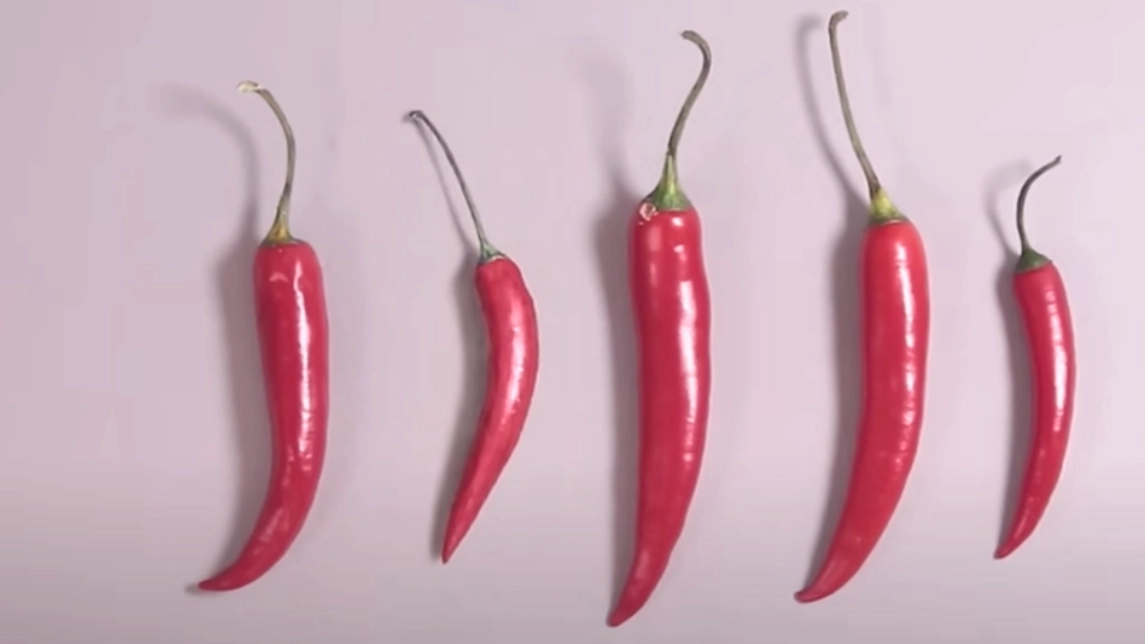 Synstest: Du har ögon som en örn om du kan se vilken chili som är tecknad