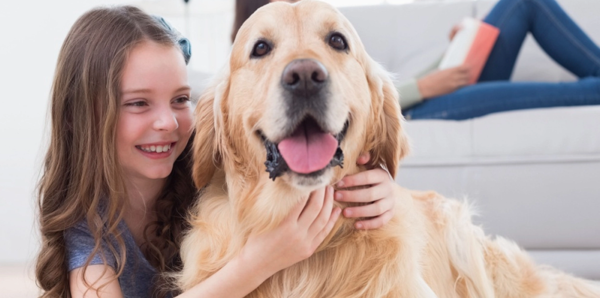 Många har undrat sig: Här är vad hunden tänker när du klappar den